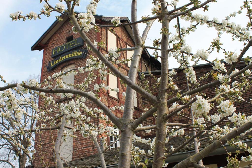 Hotel Garni Lindenmühle Bad Neuenahr-Ahrweiler Exterior foto